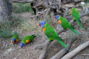 Náhodná fotogalerie